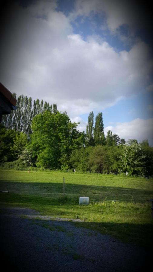Appartamento Au Paradis des Crins avec un studio rez de chaussée jardin et studio en duplex avec terrasse Templeuve-en-Pevele Esterno foto