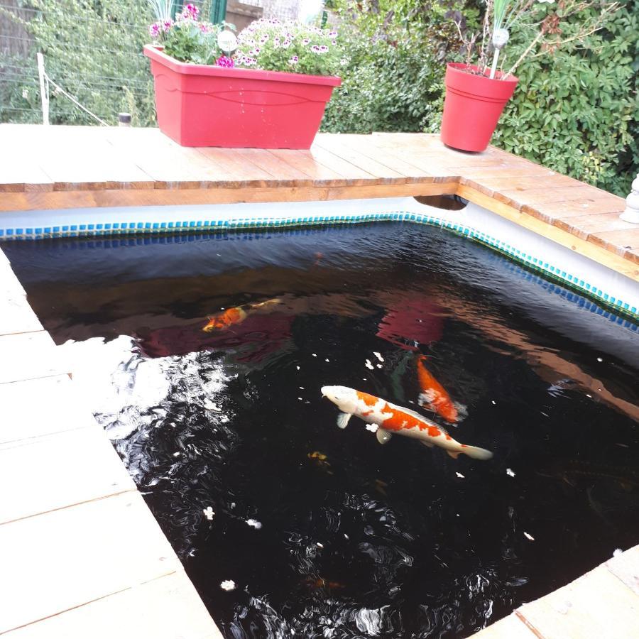 Appartamento Au Paradis des Crins avec un studio rez de chaussée jardin et studio en duplex avec terrasse Templeuve-en-Pevele Esterno foto